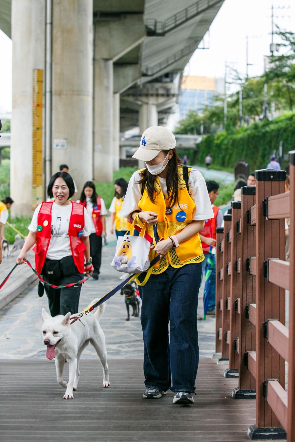 댕냥이에게 ‘맛의 행복’ 전하는 한국마즈… ‘함께 걷는 행복’도 전파