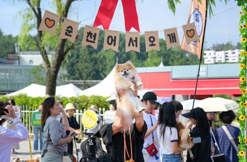 댕댕이와 순천으로… 폭삭속았수다 촬영지 찍고, 댕댕런, 영화제까지